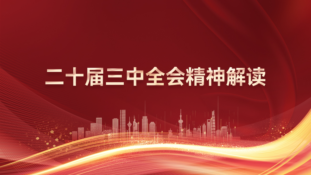 【2025】二十届三中全会精神解读